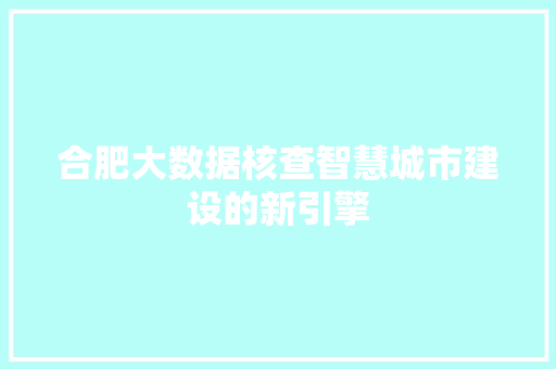 合肥大数据核查智慧城市建设的新引擎