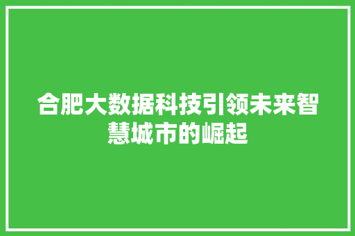 合肥大数据科技引领未来智慧城市的崛起