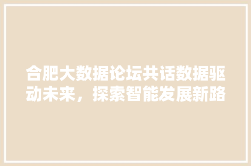 合肥大数据论坛共话数据驱动未来，探索智能发展新路径