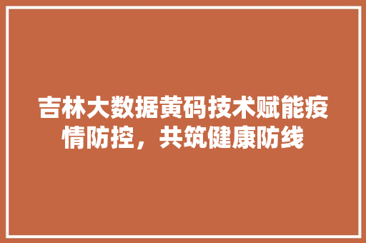 吉林大数据黄码技术赋能疫情防控，共筑健康防线