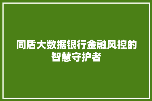 同盾大数据银行金融风控的智慧守护者 SEO教程
