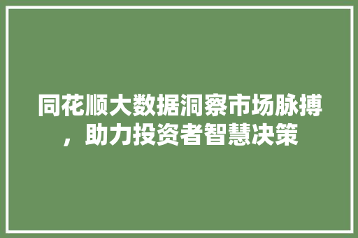同花顺大数据洞察市场脉搏，助力投资者智慧决策 SEO教程