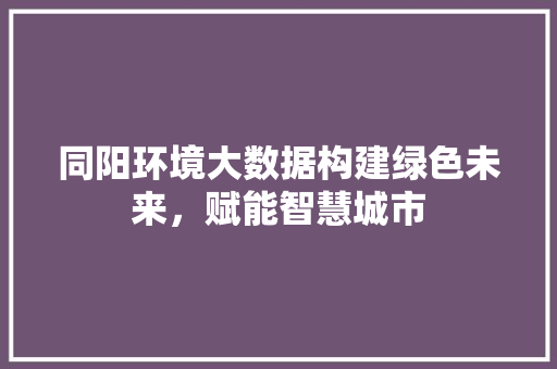 同阳环境大数据构建绿色未来，赋能智慧城市