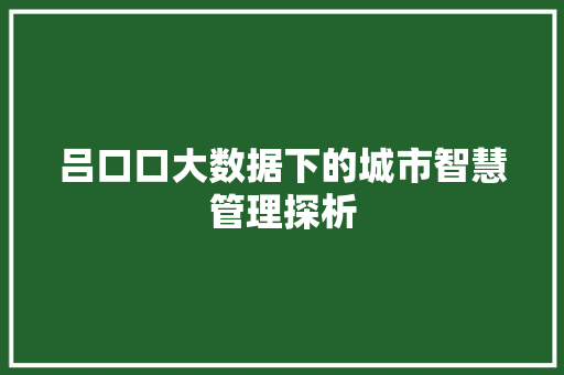 吕口口大数据下的城市智慧管理探析