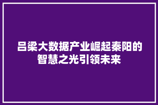 吕梁大数据产业崛起秦阳的智慧之光引领未来 服务器/数据库