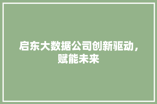 启东大数据公司创新驱动，赋能未来 SEO教程