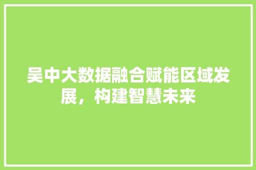 吴中大数据融合赋能区域发展，构建智慧未来