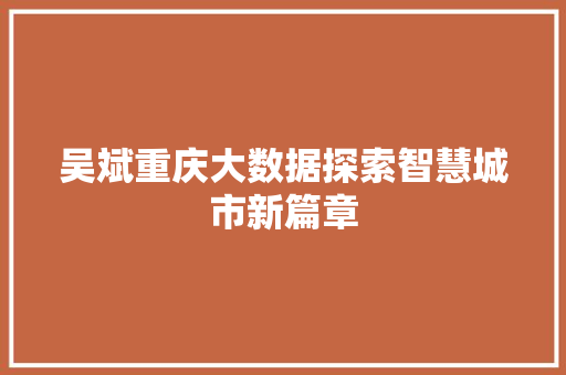 吴斌重庆大数据探索智慧城市新篇章