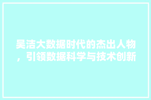 吴洁大数据时代的杰出人物，引领数据科学与技术创新