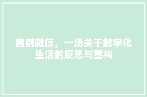 告别微信，一场关于数字化生活的反思与重构