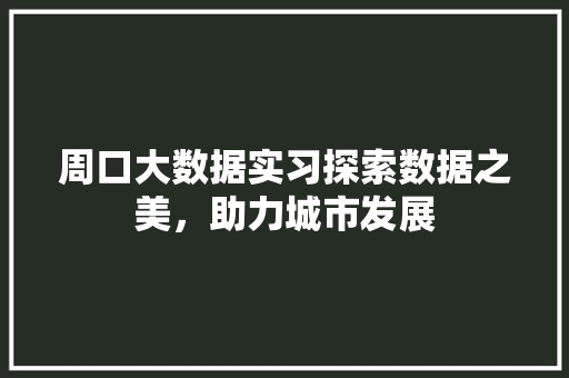 周口大数据实习探索数据之美，助力城市发展