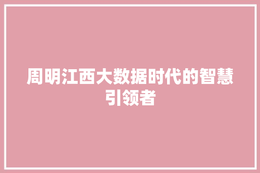 周明江西大数据时代的智慧引领者 SEO教程