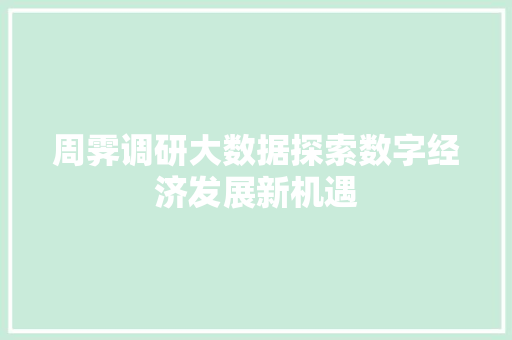 周霁调研大数据探索数字经济发展新机遇