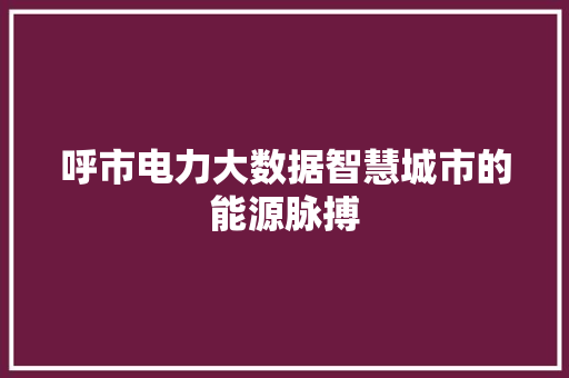 呼市电力大数据智慧城市的能源脉搏 Web前端