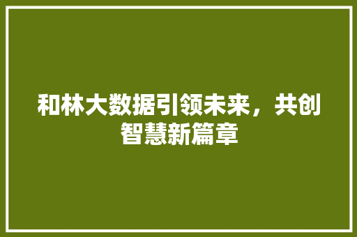 和林大数据引领未来，共创智慧新篇章