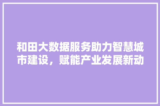 和田大数据服务助力智慧城市建设，赋能产业发展新动能