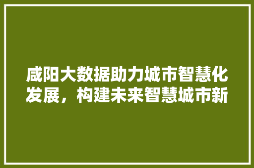 咸阳大数据助力城市智慧化发展，构建未来智慧城市新蓝图