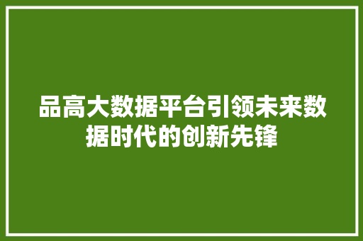 品高大数据平台引领未来数据时代的创新先锋