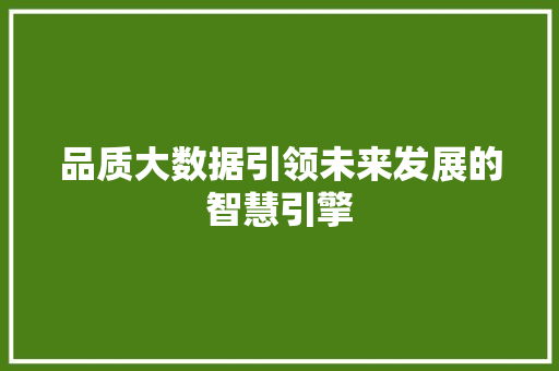 品质大数据引领未来发展的智慧引擎