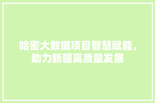 哈密大数据项目智慧赋能，助力新疆高质量发展