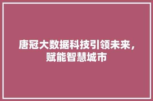 唐冠大数据科技引领未来，赋能智慧城市 建站教程