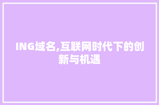 ING域名,互联网时代下的创新与机遇