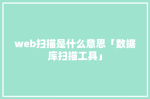 web扫描是什么意思「数据库扫描工具」
