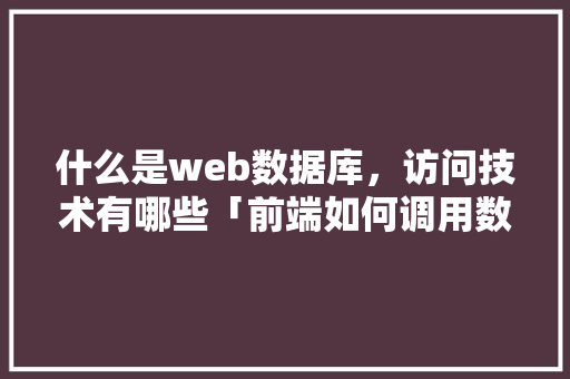 什么是web数据库，访问技术有哪些「前端如何调用数据库」 SEO教程
