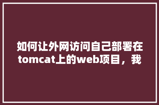 如何让外网访问自己部署在tomcat上的web项目，我是学校的内网「web链接外网数据库是什么」 服务器/数据库