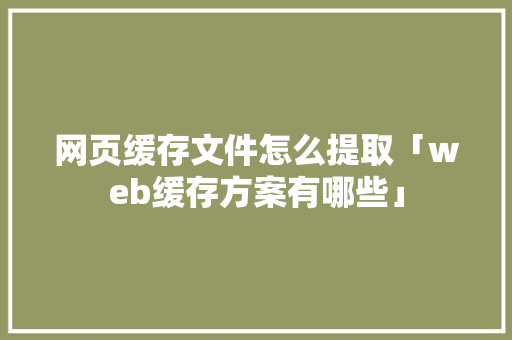 网页缓存文件怎么提取「web缓存方案有哪些」 Web前端
