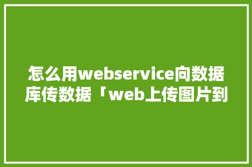 怎么用webservice向数据库传数据「web上传图片到数据库」