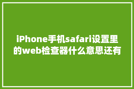 iPhone手机safari设置里的web检查器什么意思还有javascript什么意思「手机web数据库设计与实现」