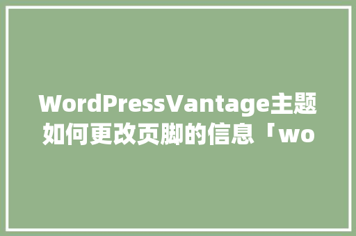 WordPressVantage主题如何更改页脚的信息「wordpress学校主题」 友链在线