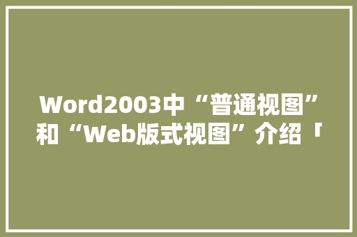 Word2003中“普通视图”和“Web版式视图”介绍「数据库视图web可视化」