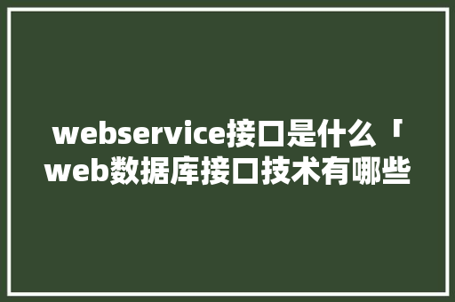 webservice接口是什么「web数据库接口技术有哪些」