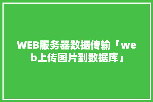 WEB服务器数据传输「web上传图片到数据库」