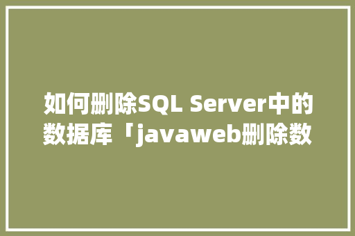 如何删除SQL Server中的数据库「javaweb删除数据库信息」