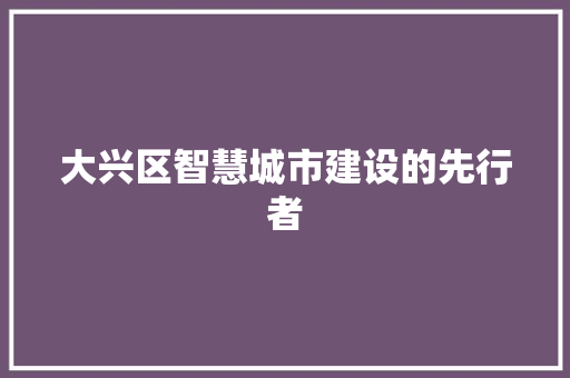 大兴区智慧城市建设的先行者