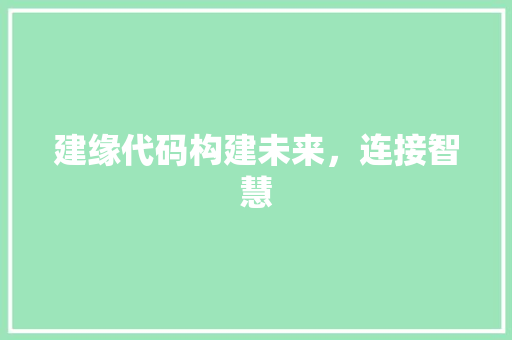 建缘代码构建未来，连接智慧