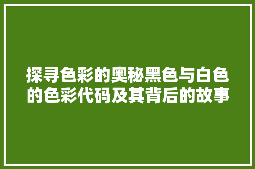 探寻色彩的奥秘黑色与白色的色彩代码及其背后的故事
