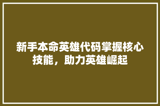 新手本命英雄代码掌握核心技能，助力英雄崛起