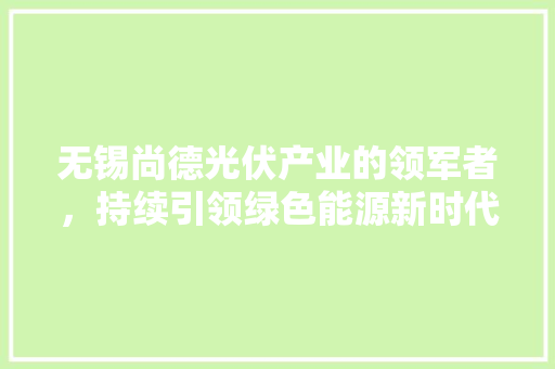 无锡尚德光伏产业的领军者，持续引领绿色能源新时代