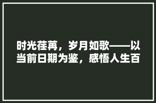 时光荏苒，岁月如歌——以当前日期为鉴，感悟人生百态