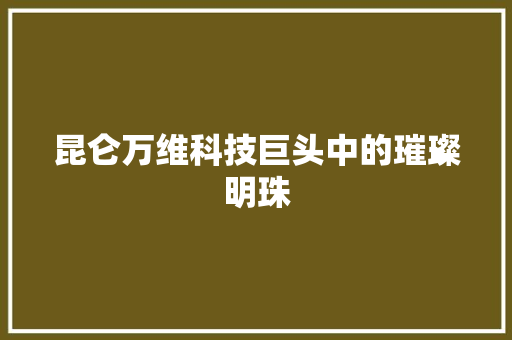 昆仑万维科技巨头中的璀璨明珠