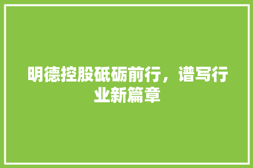 明德控股砥砺前行，谱写行业新篇章