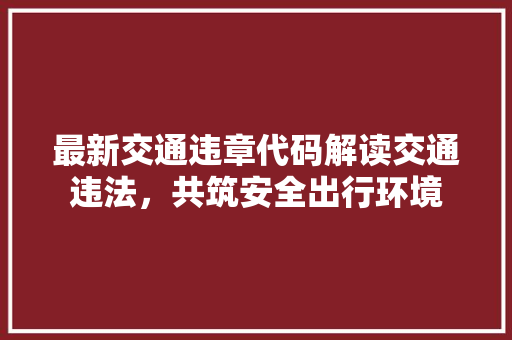 最新交通违章代码解读交通违法，共筑安全出行环境