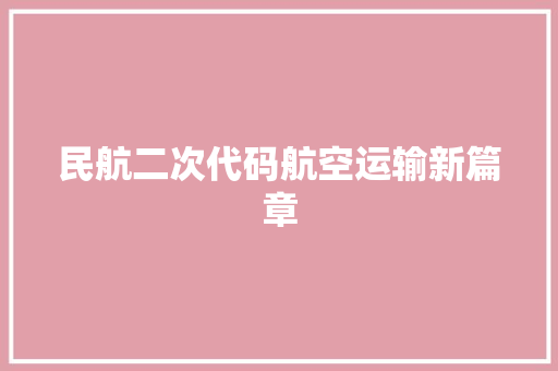 民航二次代码航空运输新篇章 WordPress教程