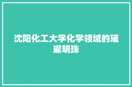 沈阳化工大学化学领域的璀璨明珠