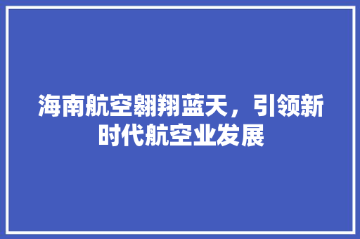 海南航空翱翔蓝天，引领新时代航空业发展