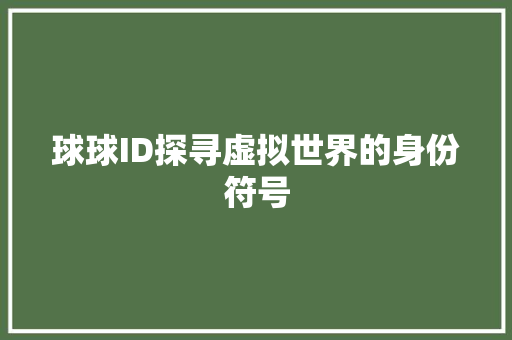 球球ID探寻虚拟世界的身份符号